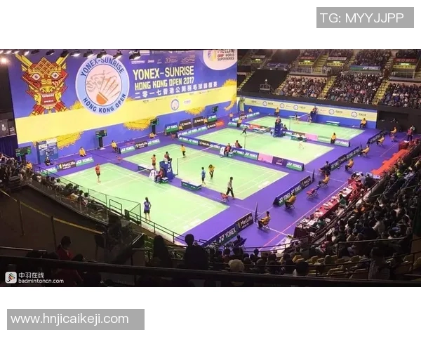 羽毛球比赛现场氛围及观众互动研究 羽毛球比赛现场氛围及观众互动研究